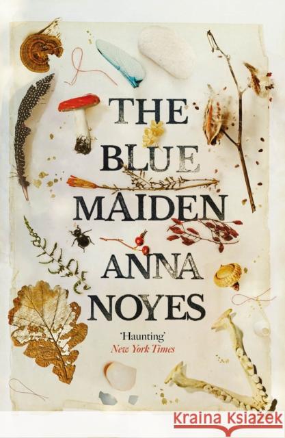 The Blue Maiden: A dazzling feminist gothic about witches, loss and resilience Anna Noyes 9781786495839