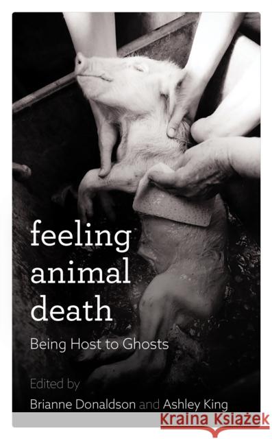 Feeling Animal Death: Being Host to Ghosts Brianne Donaldson Ashley King 9781786611147 Rowman & Littlefield International