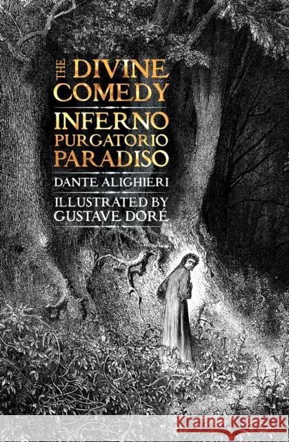 The Divine Comedy: Inferno, Purgatorio, Paradiso Dante Alighieri Gustave Dore 9781786648112