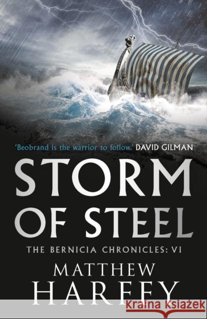 Storm of Steel Matthew Harffy 9781786696335 Bloomsbury Publishing PLC