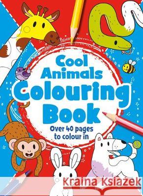 Animals  9781786705372 Bonnier Books Ltd