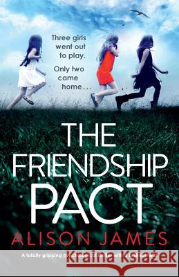 The School Friend: A totally gripping psychological thriller with a brilliant twist James, Alison 9781786819550