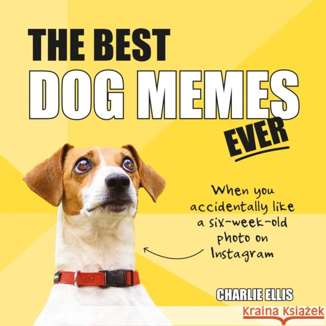 The Best Dog Memes Ever: The Funniest Relatable Memes as Told by Dogs Charlie Ellis 9781786857835 Summersdale