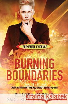 Burning Boundaries Sadie Rose Bermingham, Bellora Quinn 9781786861818