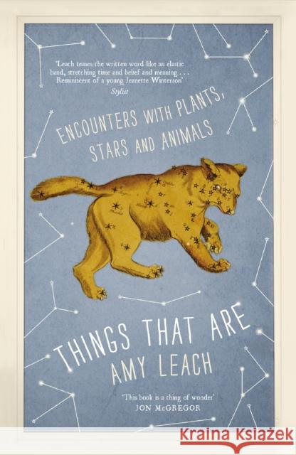 Things That Are: Encounters with Plants, Stars and Animals Amy Leach 9781786893550