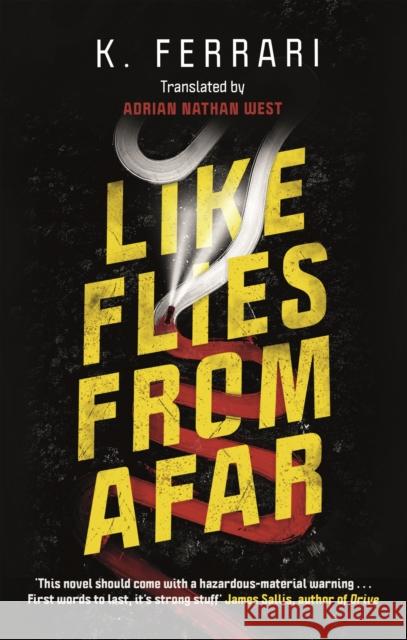 Like Flies from Afar K. Ferrari Adrian Nathan West  9781786896964