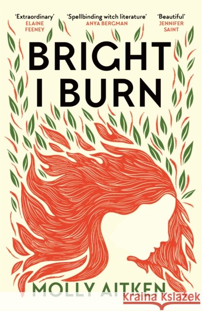 Bright I Burn Molly Aitken 9781786898371