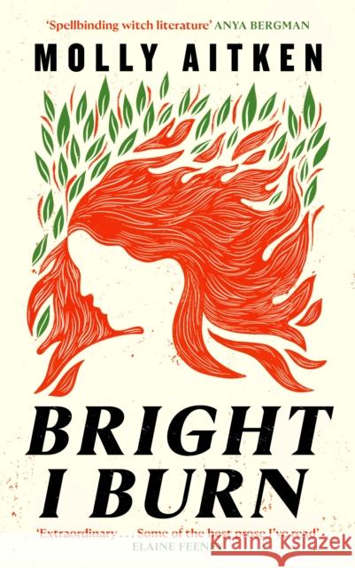 Bright I Burn Molly Aitken 9781786898388 Canongate Books