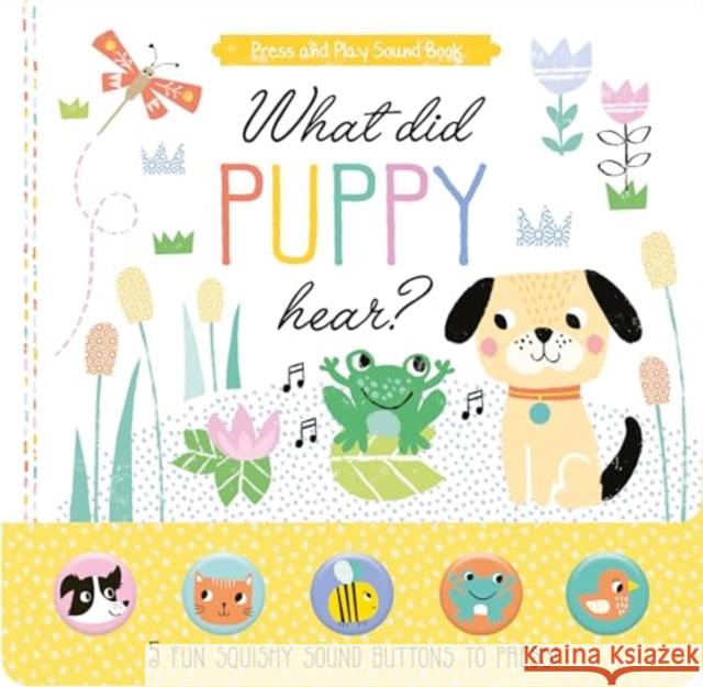 What Did Puppy Hear Louise Anglicas 9781786908476