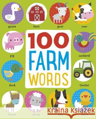 First 100 Farm Animals  Make Believe Ideas 9781786920102 