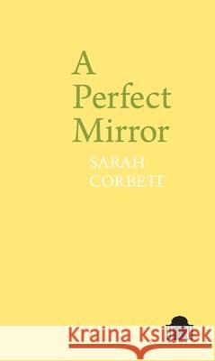 A Perfect Mirror Sarah Corbett 9781786941015 Liverpool University Press