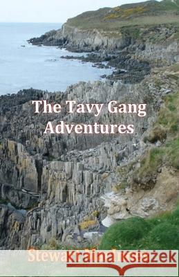 The Tavy Gang Adventures Stewart MacInnes 9781786957245