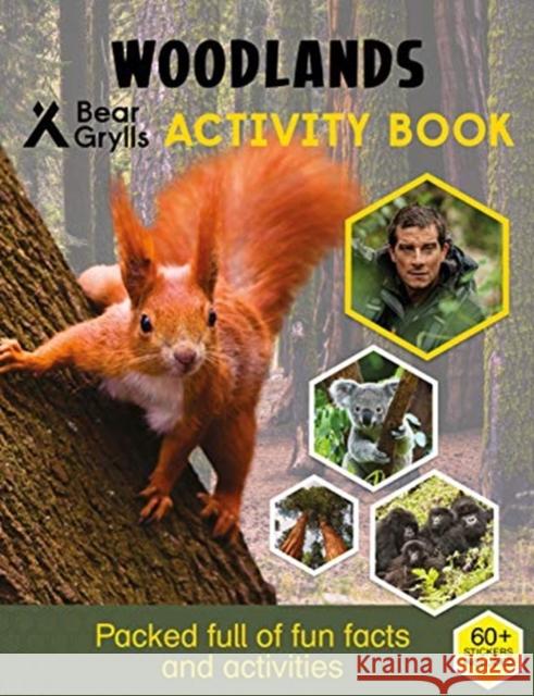 Bear Grylls Sticker Activity: Woodlands Bear Grylls   9781786960870 Bonnier Zaffre