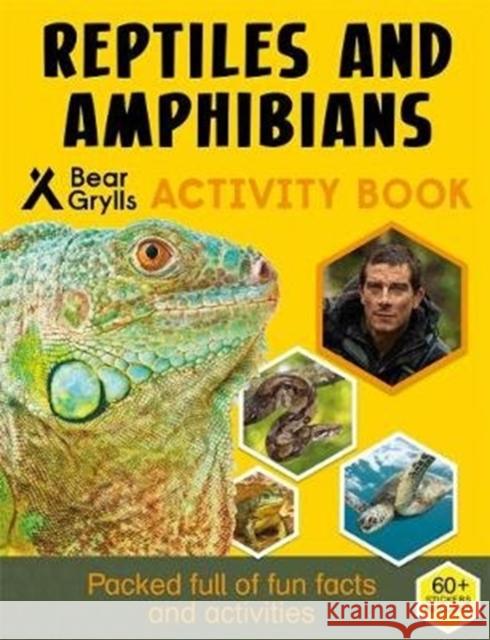 Bear Grylls Sticker Activity: Reptiles & Amphibians Bear Grylls   9781786961051 Bonnier Zaffre