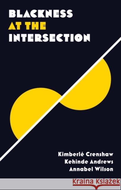 Blackness at the Intersection  9781786998644 Zed Books Ltd