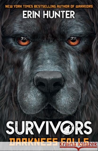 Survivors Book 3: Darkness Falls Erin Hunter 9781787006669 Gemini Books Group Ltd