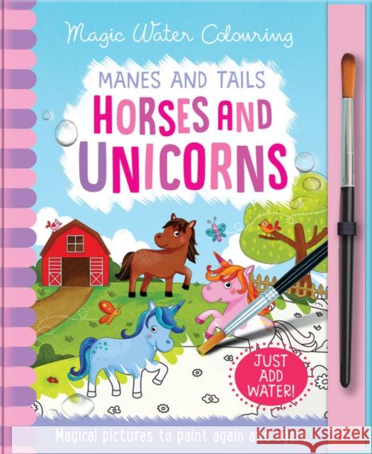 Manes and Tails - Horses and Unicorns Jenny Copper Rachael McLean  9781787009585