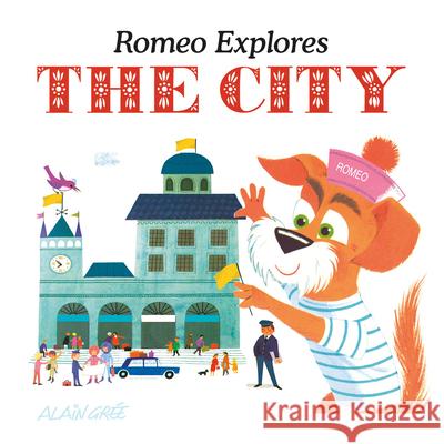 Romeo Explores the City  9781787080041 Button Books