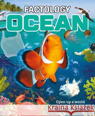 Factology: Ocean: Open Up a World of Information!  9781787081635 Button Books