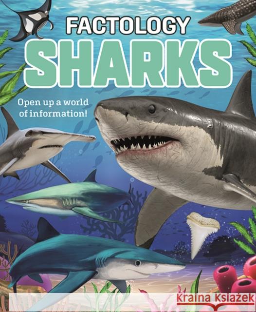 Factology: Sharks: Open Up a World of Information! Button Books 9781787081789