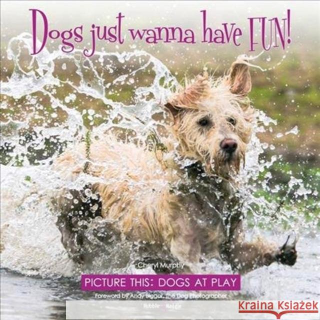 Dogs Just Wanna Have Fun!: Picture This: Dogs at Play Cheryl Murphy 9781787112018