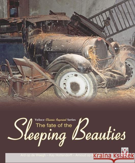 The Fate of the Sleeping Beauties Ard O Kay Hottendorff Arnoud O 9781787113336 David & Charles