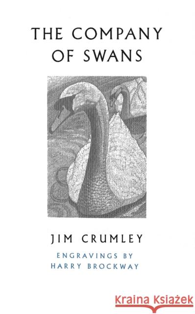The Company of Swans Crumley, Jim 9781787300620 