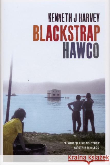 Blackstrap Hawco Kenneth J Harvey 9781787301306