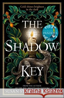 The Shadow Key Susan Stokes-Chapman 9781787302907