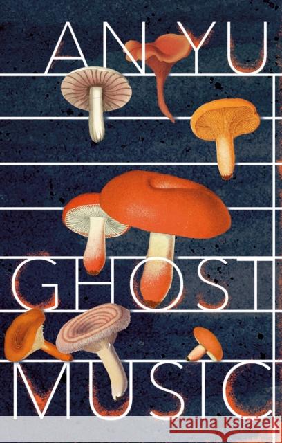 Ghost Music: From the author of the stylish cult hit Braised Pork An Yu 9781787303034 Random House