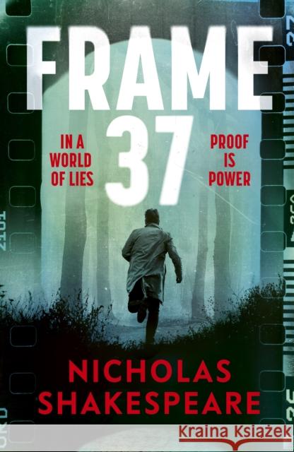 Frame 37 Nicholas Shakespeare 9781787305229
