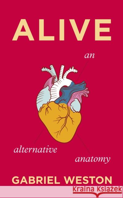 Alive: An Alternative Anatomy Gabriel Weston 9781787330603 Vintage Publishing