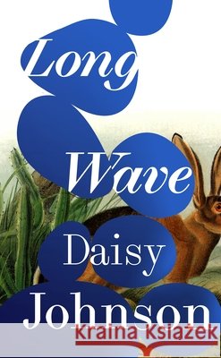 Long Wave Daisy Johnson 9781787332317 Vintage Publishing