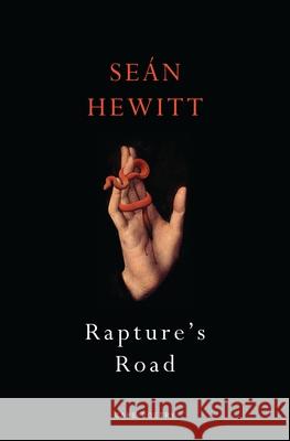 Rapture's Road: From the author of All Down Darkness Wide Sean Hewitt 9781787334274 Vintage Publishing