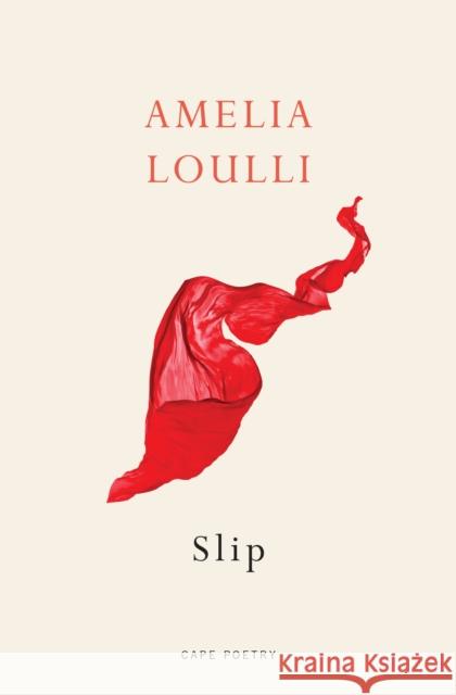 Slip Amelia Loulli 9781787334670 Vintage Publishing