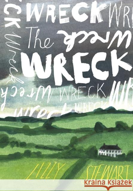The Wreck Lizzy Stewart 9781787335318 Vintage Publishing