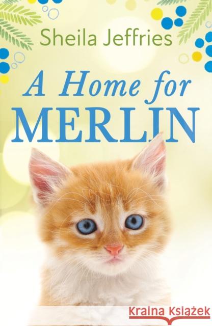 A Home for Merlin: An inspiring and heartwarming story of friendship Sheila Jeffries 9781787395756 Headline Publishing Group