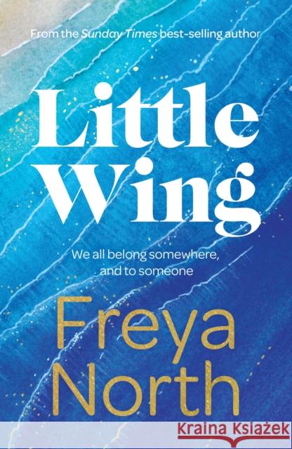 Little Wing: A beautifully written, emotional and heartwarming story Freya North 9781787397606 Welbeck Publishing Group