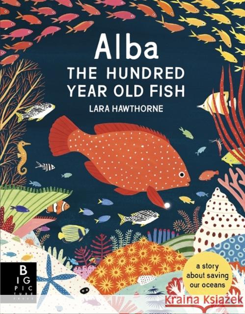Alba the Hundred Year Old Fish Lara Hawthorne Lara Hawthorne  9781787412927 Templar Publishing