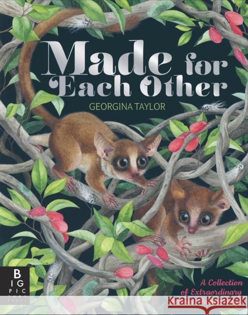 Made for Each Other Joanna McInerney 9781787414242 Templar Publishing