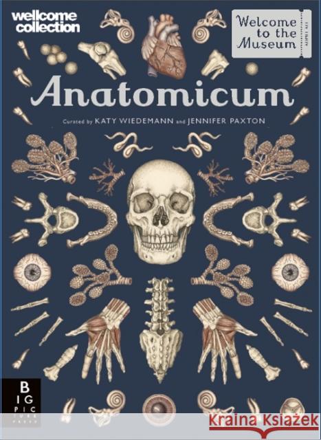 Anatomicum Jennifer Z Paxton Katy Wiedemann  9781787414921 Templar Publishing