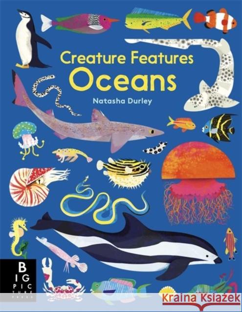 Creature Features Oceans Natasha Durley Natasha Durley  9781787415782 Templar Publishing