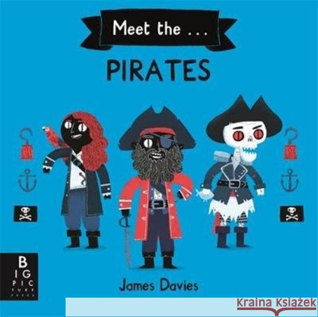 Meet the Pirates James Davies James Davies  9781787417632 Templar Publishing