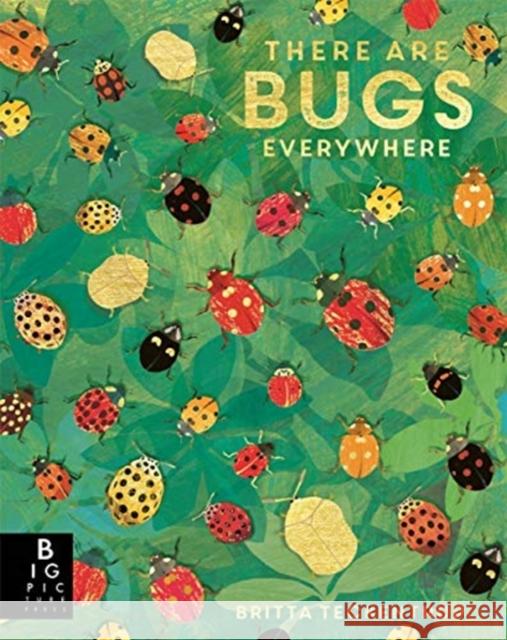 There are Bugs Everywhere Lily Murray 9781787418219