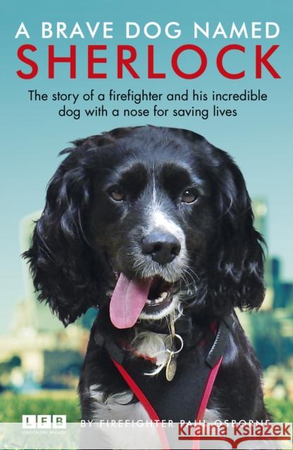 A Brave Dog Named Sherlock Paul Osborne 9781787460836 Cornerstone