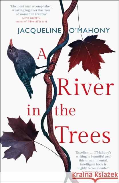 A River in the Trees Jacqueline O'Mahony   9781787473553