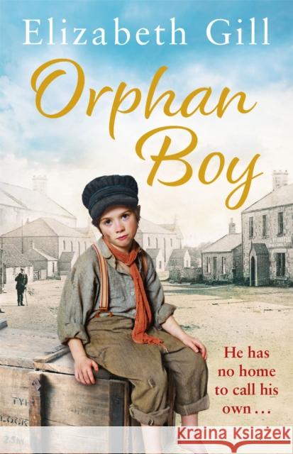 Orphan Boy Elizabeth Gill   9781787474642 Quercus Publishing