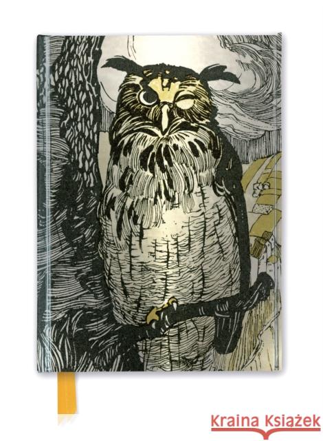 Grimm's Fairy Tales: Winking Owl (Foiled Journal) Flame Tree Studio 9781787550124