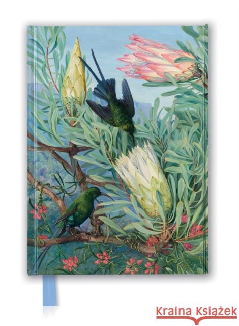 Kew Gardens' Marianne North: Honeyflowers and Honeysuckers (Foiled Journal) Flame Tree Studio 9781787558069 Flame Tree Publishing