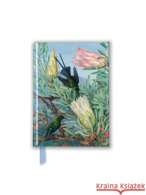 Kew Gardens' Marianne North: Honeyflowers and Honeysuckers (Foiled Pocket Journal) Flame Tree Studio 9781787558342